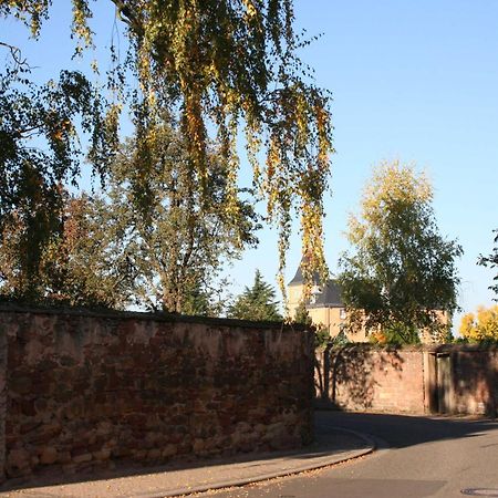 Ferienwohnung Spatzennest In Edesheim Luaran gambar