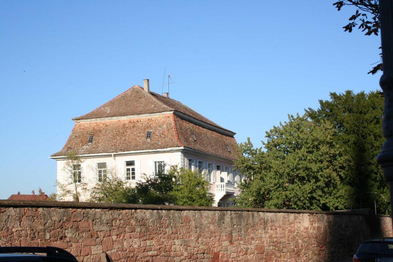 Ferienwohnung Spatzennest In Edesheim Luaran gambar